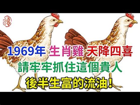 1969雞五行|生肖屬雞人的五行及個性分析